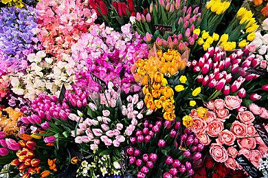 《Re≒Connect》Steam页面上线 老宅男美少女手办寻回冒险